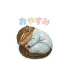 動物でおやすみ（個別スタンプ：35）