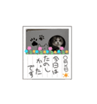 猫のスタンプじゃ（個別スタンプ：1）