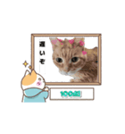 猫のスタンプじゃ（個別スタンプ：7）