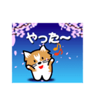 桜吹雪でご挨拶（個別スタンプ：16）