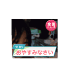 ベビーモデルCHARMA だよ（個別スタンプ：3）