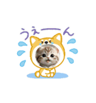猫ちゃんと楽しく（個別スタンプ：4）