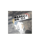 パピヨン レオのお喋り！（個別スタンプ：4）