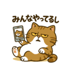 現実逃避するねこ（個別スタンプ：1）