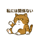 現実逃避するねこ（個別スタンプ：4）
