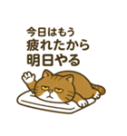 現実逃避するねこ（個別スタンプ：9）