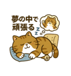 現実逃避するねこ（個別スタンプ：17）