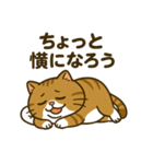 現実逃避するねこ（個別スタンプ：18）