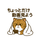 現実逃避するねこ（個別スタンプ：22）