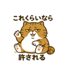 現実逃避するねこ（個別スタンプ：24）