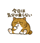 現実逃避するねこ（個別スタンプ：29）