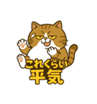 現実逃避するねこ（個別スタンプ：37）