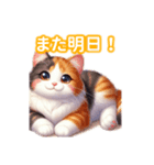 とにかくかわいい 三毛猫（個別スタンプ：5）