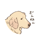 優しいゴールデンレトリーバー（個別スタンプ：29）