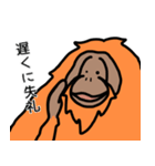 だってオランウータンだもの（個別スタンプ：3）