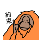 だってオランウータンだもの（個別スタンプ：4）