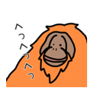 だってオランウータンだもの（個別スタンプ：5）
