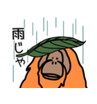 だってオランウータンだもの（個別スタンプ：12）