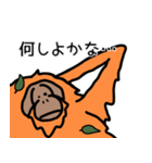 だってオランウータンだもの（個別スタンプ：13）