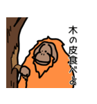 だってオランウータンだもの（個別スタンプ：15）
