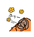 だってオランウータンだもの（個別スタンプ：24）
