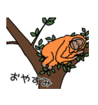 だってオランウータンだもの（個別スタンプ：40）