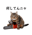 チェンソーニャン、今日も暴れてツッコむ！（個別スタンプ：12）