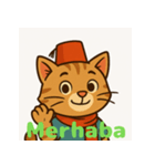 イスタンブール猫のミル トルコ語スタンプ（個別スタンプ：1）