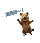 愛らしいクオッカ4（簡体字）（個別スタンプ：1）