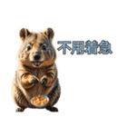 愛らしいクオッカ4（簡体字）（個別スタンプ：4）