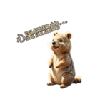 愛らしいクオッカ4（簡体字）（個別スタンプ：9）