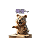 愛らしいクオッカ4（簡体字）（個別スタンプ：10）