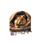 愛らしいクオッカ4（簡体字）（個別スタンプ：12）