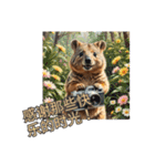 愛らしいクオッカ4（簡体字）（個別スタンプ：19）