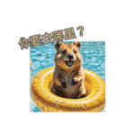 愛らしいクオッカ4（簡体字）（個別スタンプ：20）