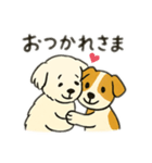 ゆる優しい犬さま（個別スタンプ：6）