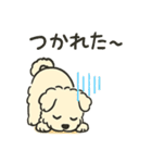ゆる優しい犬さま（個別スタンプ：11）