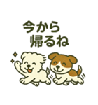 躾のよい犬さま（個別スタンプ：6）