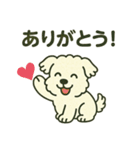 躾のよい犬さま（個別スタンプ：8）