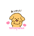 「わたしはプードル」(タイ語)（個別スタンプ：3）