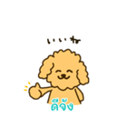 「わたしはプードル」(タイ語)（個別スタンプ：4）