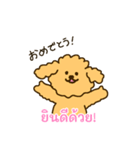 「わたしはプードル」(タイ語)（個別スタンプ：8）