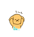 「わたしはプードル」(タイ語)（個別スタンプ：10）