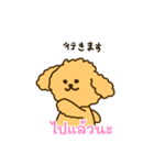「わたしはプードル」(タイ語)（個別スタンプ：11）