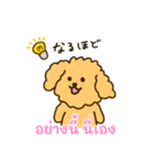 「わたしはプードル」(タイ語)（個別スタンプ：13）