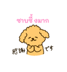 「わたしはプードル」(タイ語)（個別スタンプ：16）