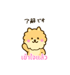 「わたしはポメラニアン」(タイ語)（個別スタンプ：1）