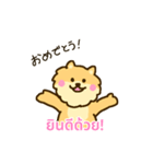 「わたしはポメラニアン」(タイ語)（個別スタンプ：8）