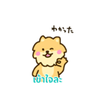 「わたしはポメラニアン」(タイ語)（個別スタンプ：12）