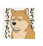 人生辛い犬（個別スタンプ：3）